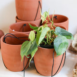 Canyon Hanging Pot