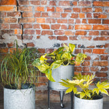 Braze Planter