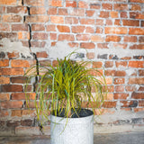 Braze Pot