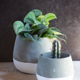 Mikayla Pot