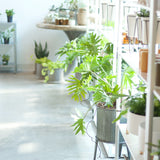 Braze Planter