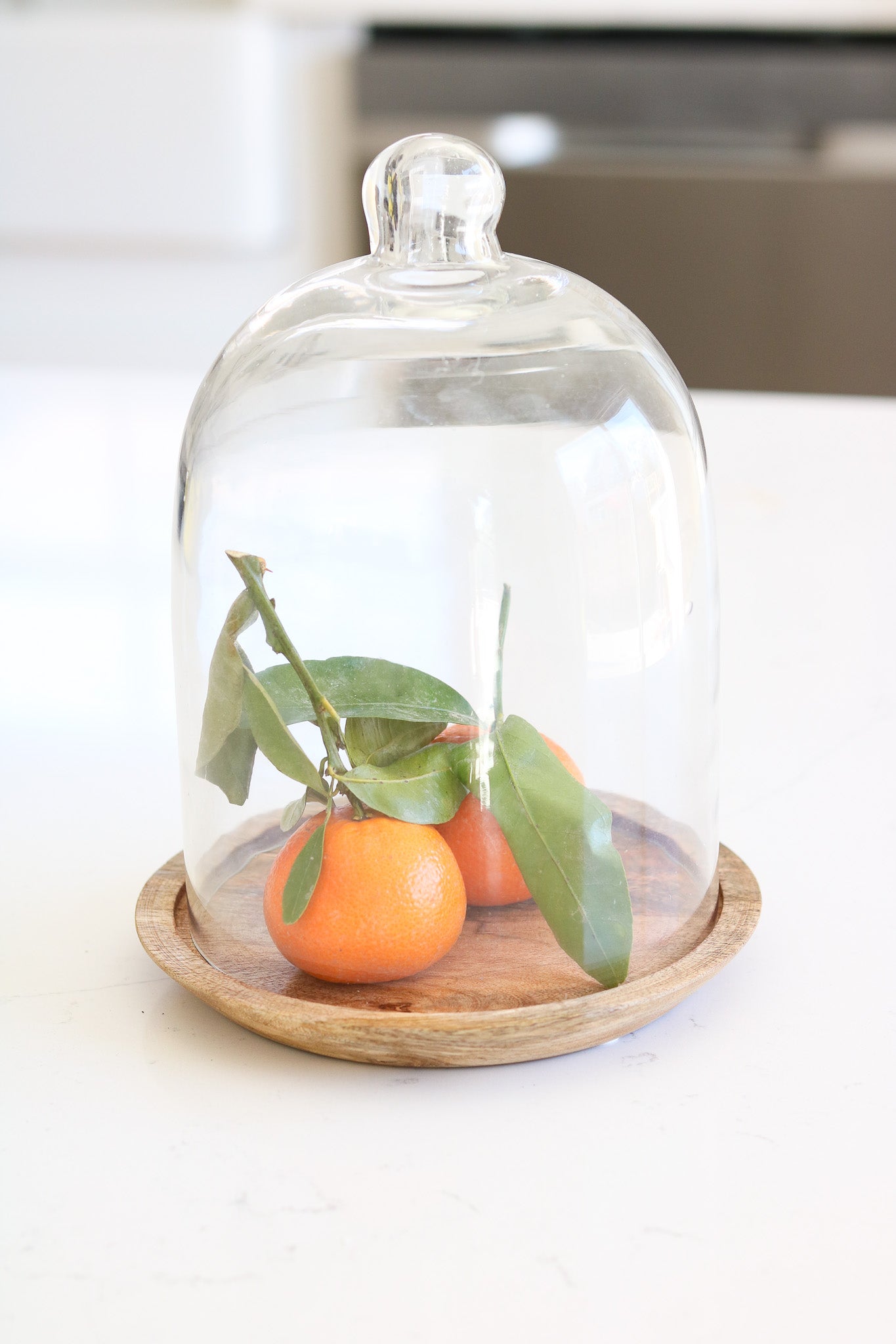 Mango Wood & Glass Cloche